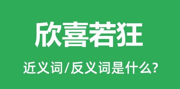 欣喜若狂的近义词语,欣喜若狂的近义词图6