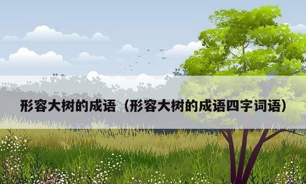 关于树木的四字词语,什么树木组词四个字图2