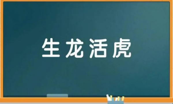 近义词的成语,有近义词的成语图3