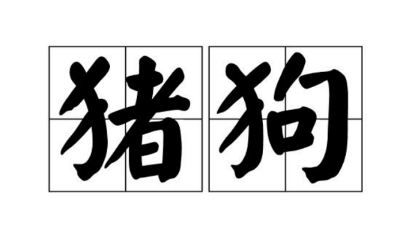 猪的成语四字成语大全,带有猪字的四字成语大全集图4