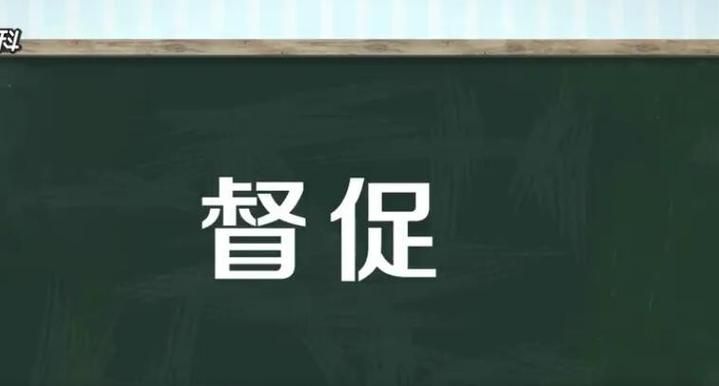 督促近义词语,理睬的近义词和反义词是什么图4