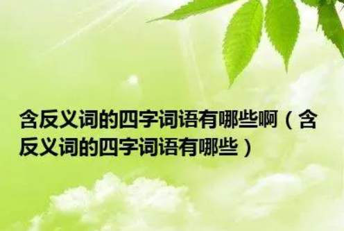 反义词的四字词语,有反义词的四字词语有哪些二年级图4