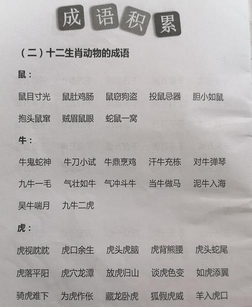 十二生肖成语,十二生肖的成语图4