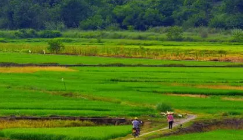 什么的田野填空词语,什么的田野填空三年级图5