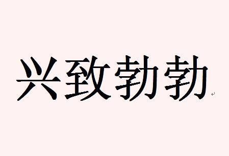 与兴致勃勃结构相同的词语,兴致勃勃与它结构相同的词语图4