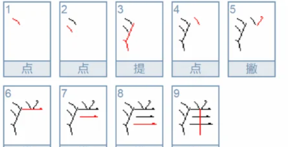 洋的笔顺,洋的笔顺怎么写图6