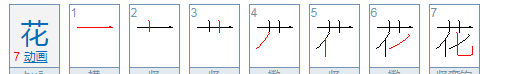 花笔顺笔画,花字笔画顺序怎么写图2