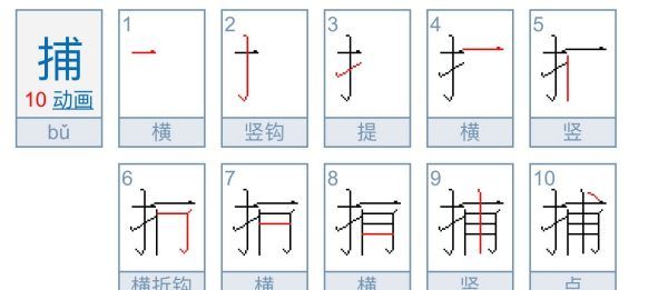 捕的笔顺,捕的笔顺笔画顺序怎么写图3