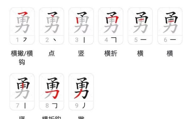 勇的笔顺和组词,勇字田字格正确写法图7