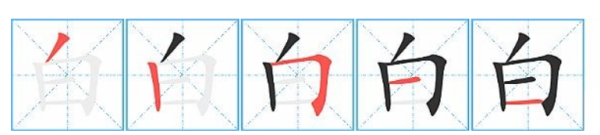 白的笔顺,白字的笔顺图1