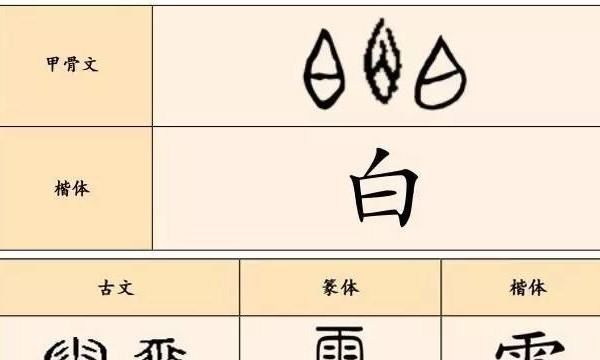 白的笔顺,白字的笔顺图3