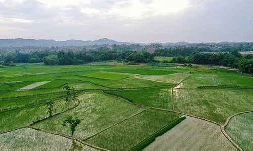 田笔顺笔画顺序表怎么写,田的笔顺怎么写的笔顺图1