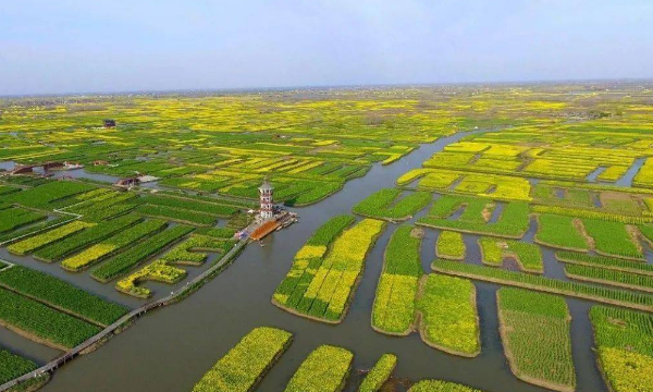 田笔顺笔画顺序表怎么写,田的笔顺怎么写的笔顺图3