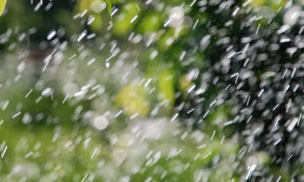 形容雨的词语,形容雨的词语都有什么图3