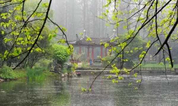 形容雨的词语,形容雨的词语都有什么图4