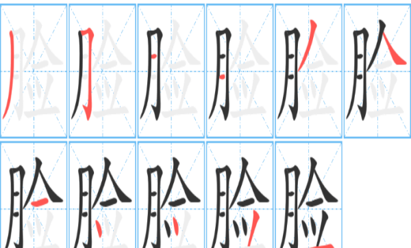 脸的笔顺,脸的笔顺图4