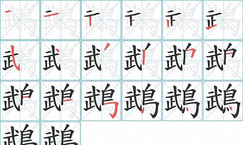 鸟的笔顺怎么写,鸟字的笔顺图2