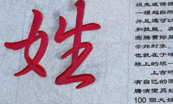 姓字笔顺规则是什么,姓的笔画笔顺图1