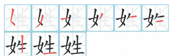 姓字笔顺规则是什么,姓的笔画笔顺图5