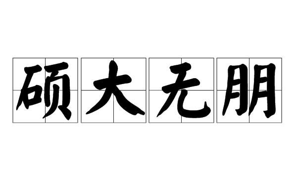 硕大无朋的近义词语,硕大无朋的近义词和反义词是什么图5