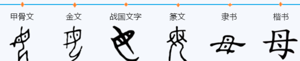 母字的笔顺正确的写法,母的笔顺部首的字图6