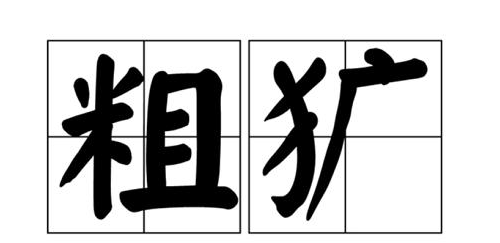 粗犷的近义词和反义词,粗犷是什么意思图3