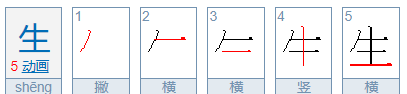 部编版二年级上册生字笔顺字帖,人教版二年级上册语文生字笔顺图2