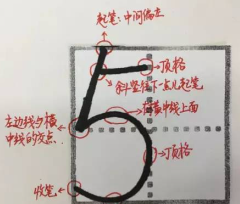 数字的笔顺正确的写法,阿拉伯数字00在田字格里怎么写图10