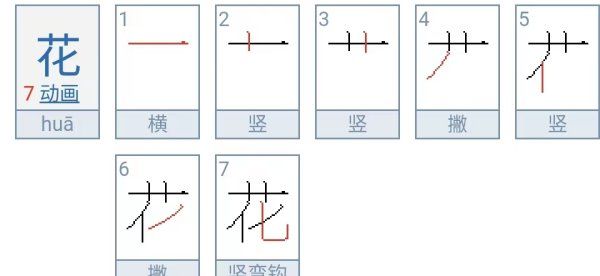 花的笔顺怎么写,花的笔画顺序正确写法图5