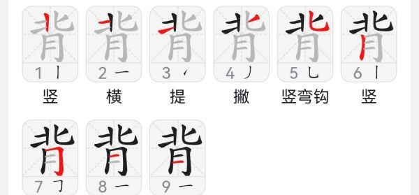 背笔顺笔顺,背字的笔顺图4