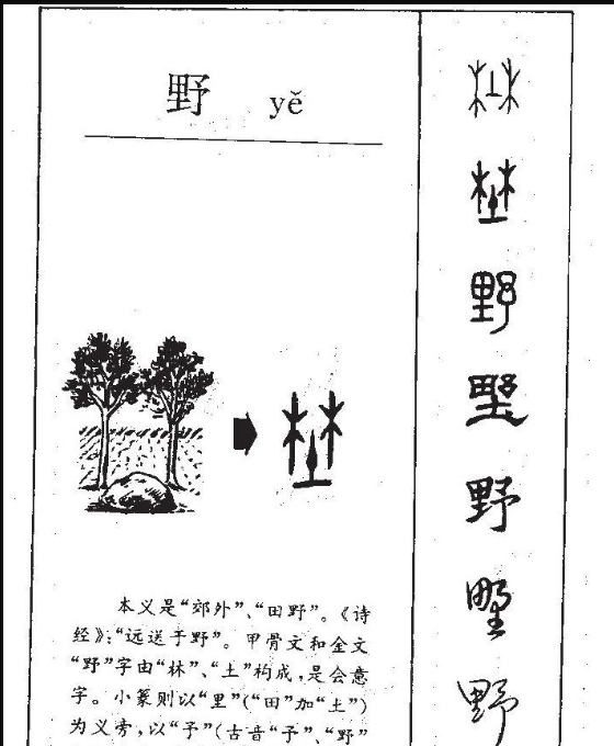 野笔顺是啥,野字笔顺图2