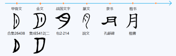 月字笔顺,月字的笔顺笔画图2