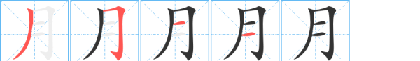 月字笔顺,月字的笔顺笔画图3