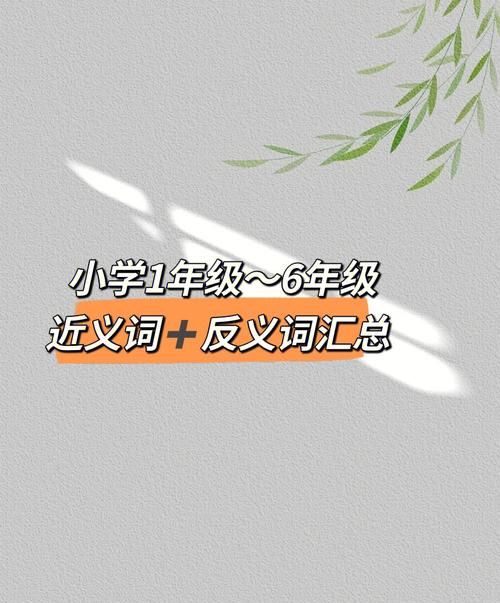 最近义词和反义词,近义词、反义词与造句精选图6