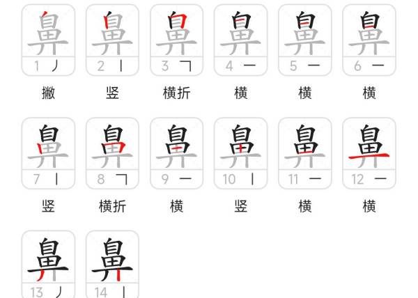 鼻笔顺怎么写,鼻子的鼻的笔顺图3