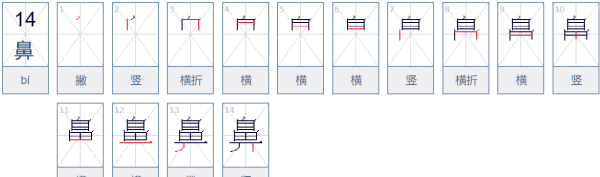 鼻  笔顺,鼻的笔顺是图3