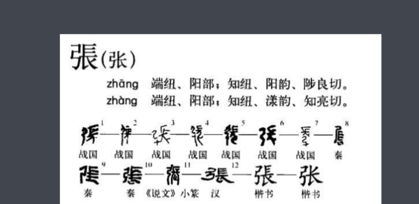 张字笔顺笔画顺序表,张的笔画顺序图5