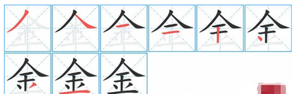 金字的笔顺正确写法,金的笔顺是图6