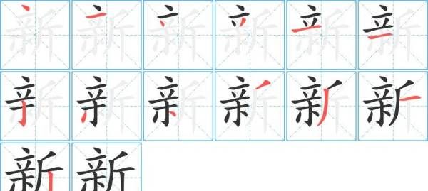 新字笔顺笔画顺序怎么写,新字的笔顺是什么图5