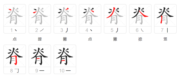 脊笔顺正确写法,脊这个字的笔顺图1