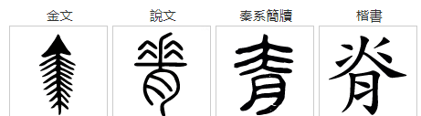 脊笔顺正确写法,脊这个字的笔顺图8