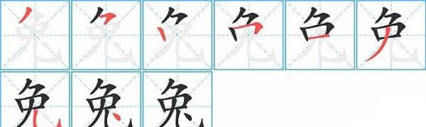 兔子的兔的笔顺,兔字笔顺怎么写字图5