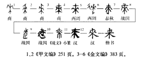 来笔顺怎么写,来的笔顺图4