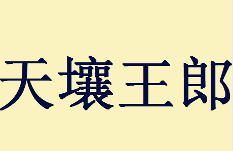 王字同音成语,王字或谐音开头高雅的词语图4