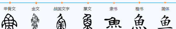 鱼字笔顺怎么写字的,鱼的笔顺怎么写图3