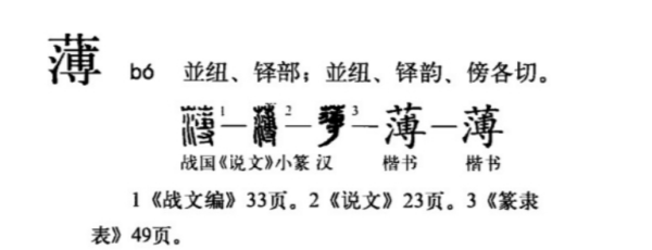 薄笔顺笔画顺序表,薄的笔顺笔画顺序表图6