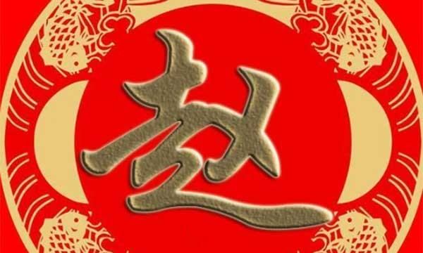 赵字笔顺笔画顺序表图片,赵的笔顺正确的写法图3