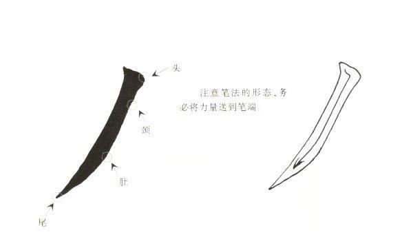 感笔顺笔画顺序表怎么写,感字笔顺图7