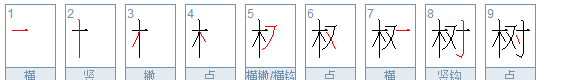 树字笔顺拼音,树的笔顺拼音图2