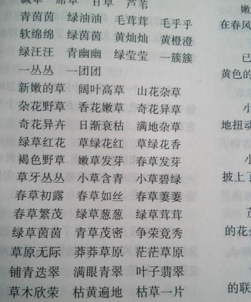 什么什么绿绿四字词语,成语绿绿什么图4